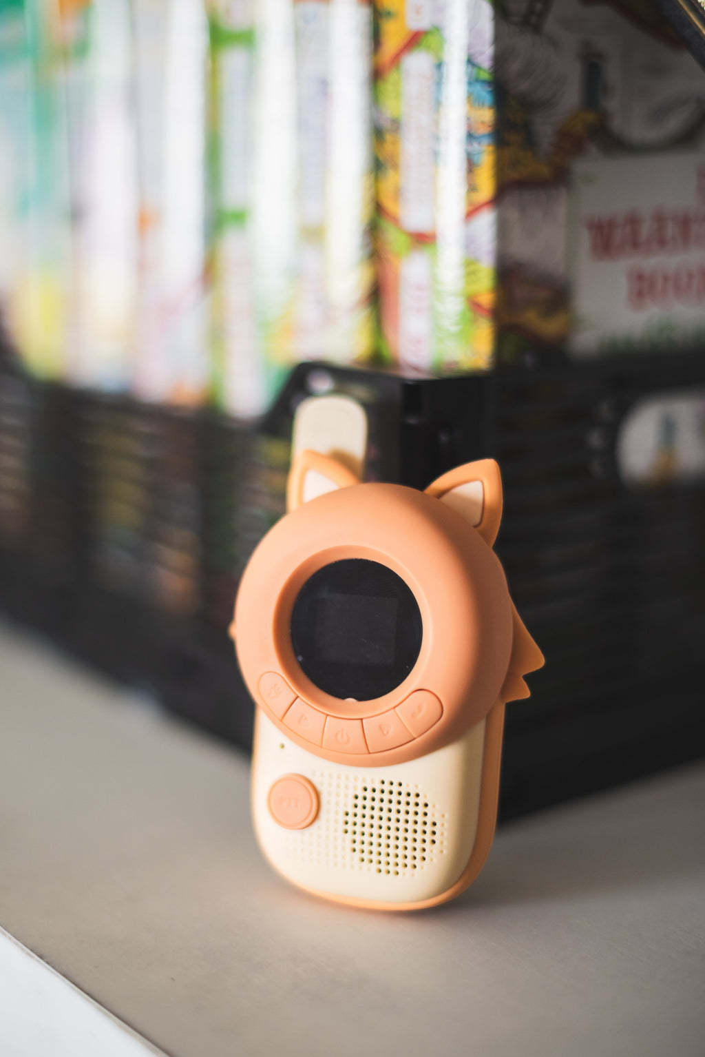 Walkie Talkie Set