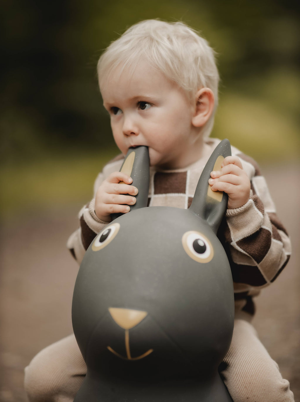 Bouncing Rabbit Hopper Toy