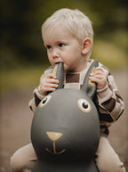 Bouncing Rabbit Hopper Toy