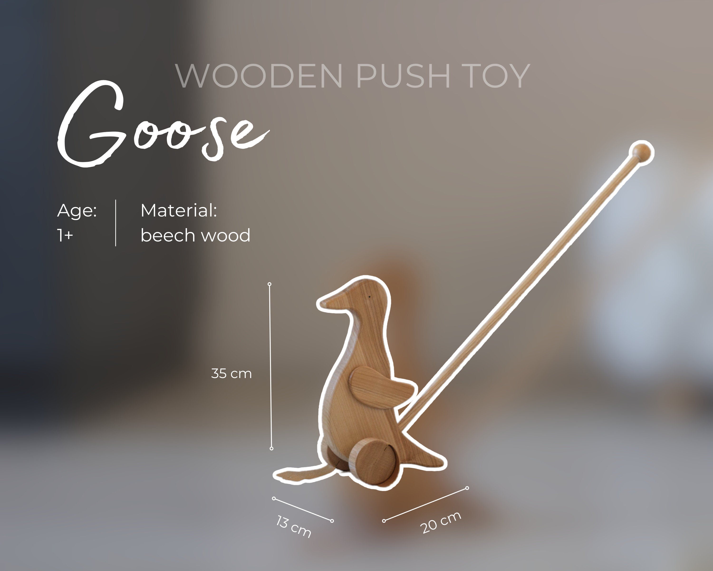Wooden Duck Push Toy