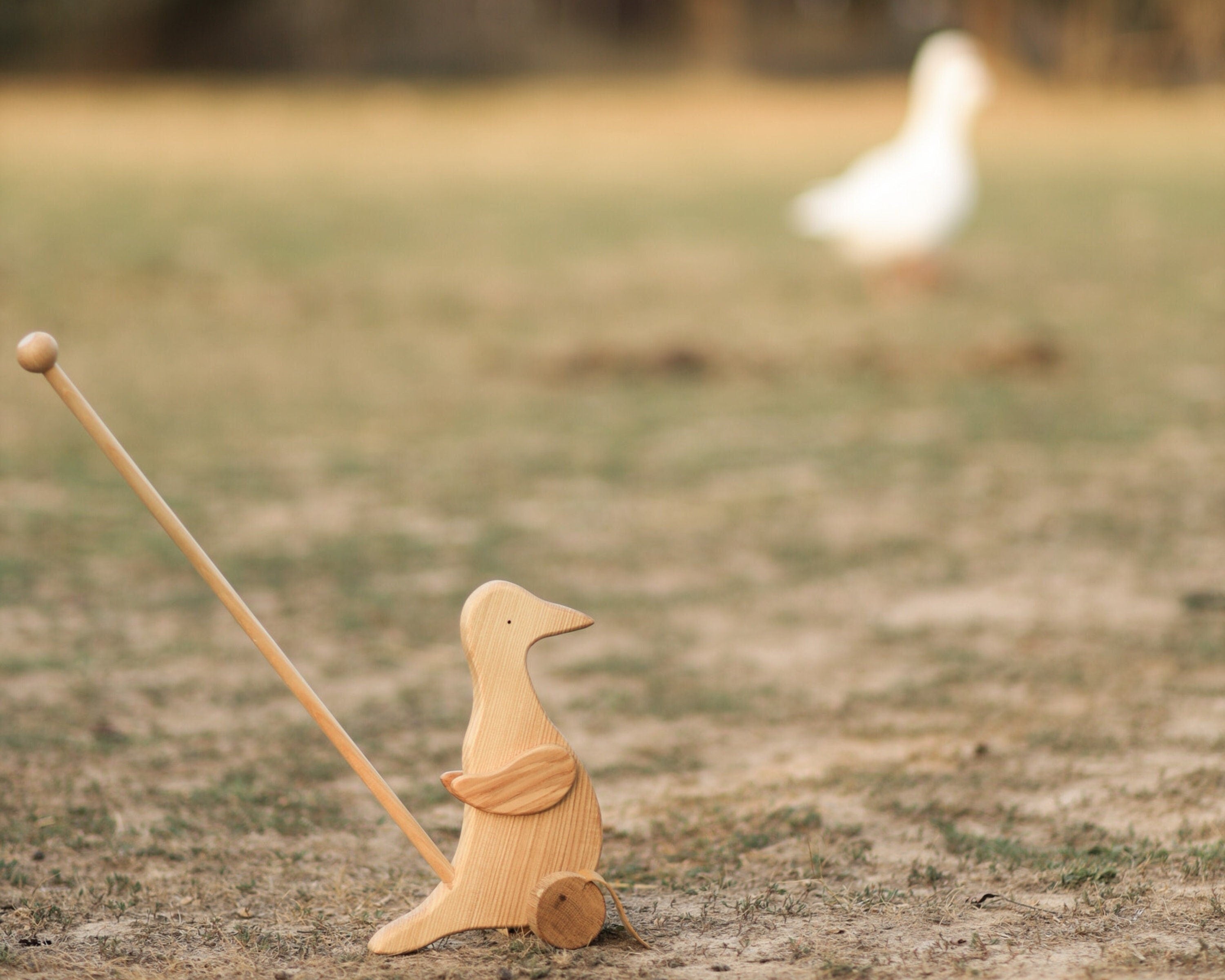Wooden Duck Push Toy