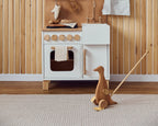 Wooden Duck Push Toy