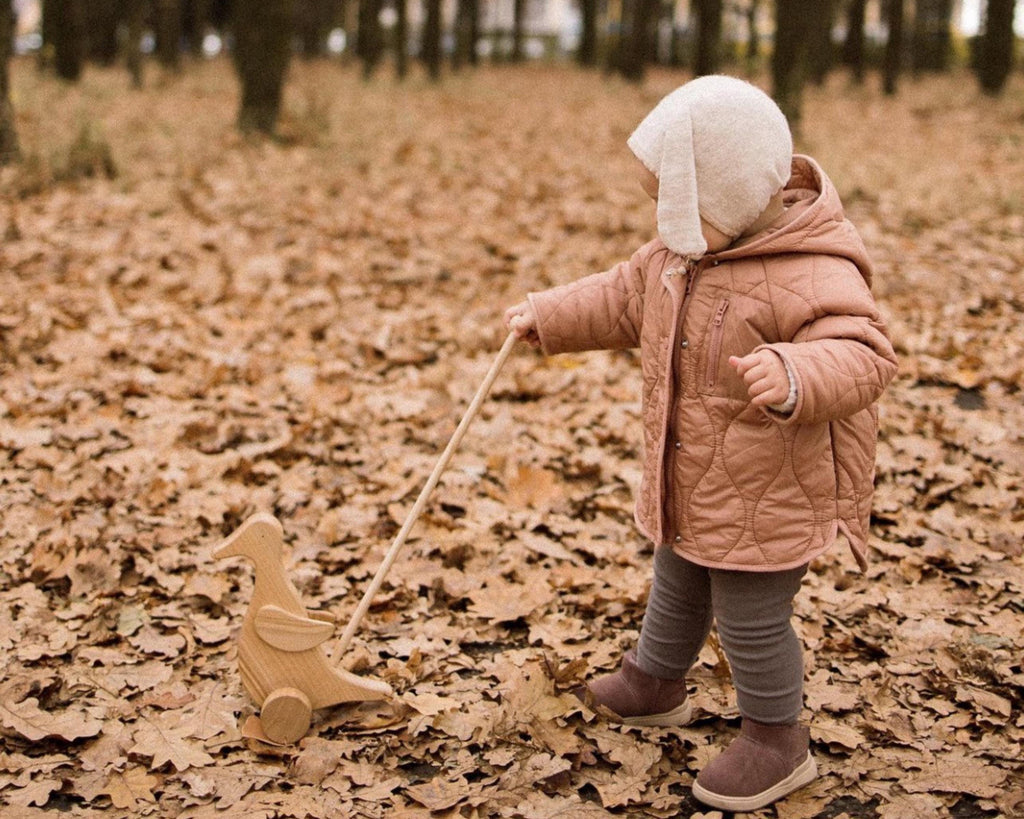 Wooden Duck Push Toy