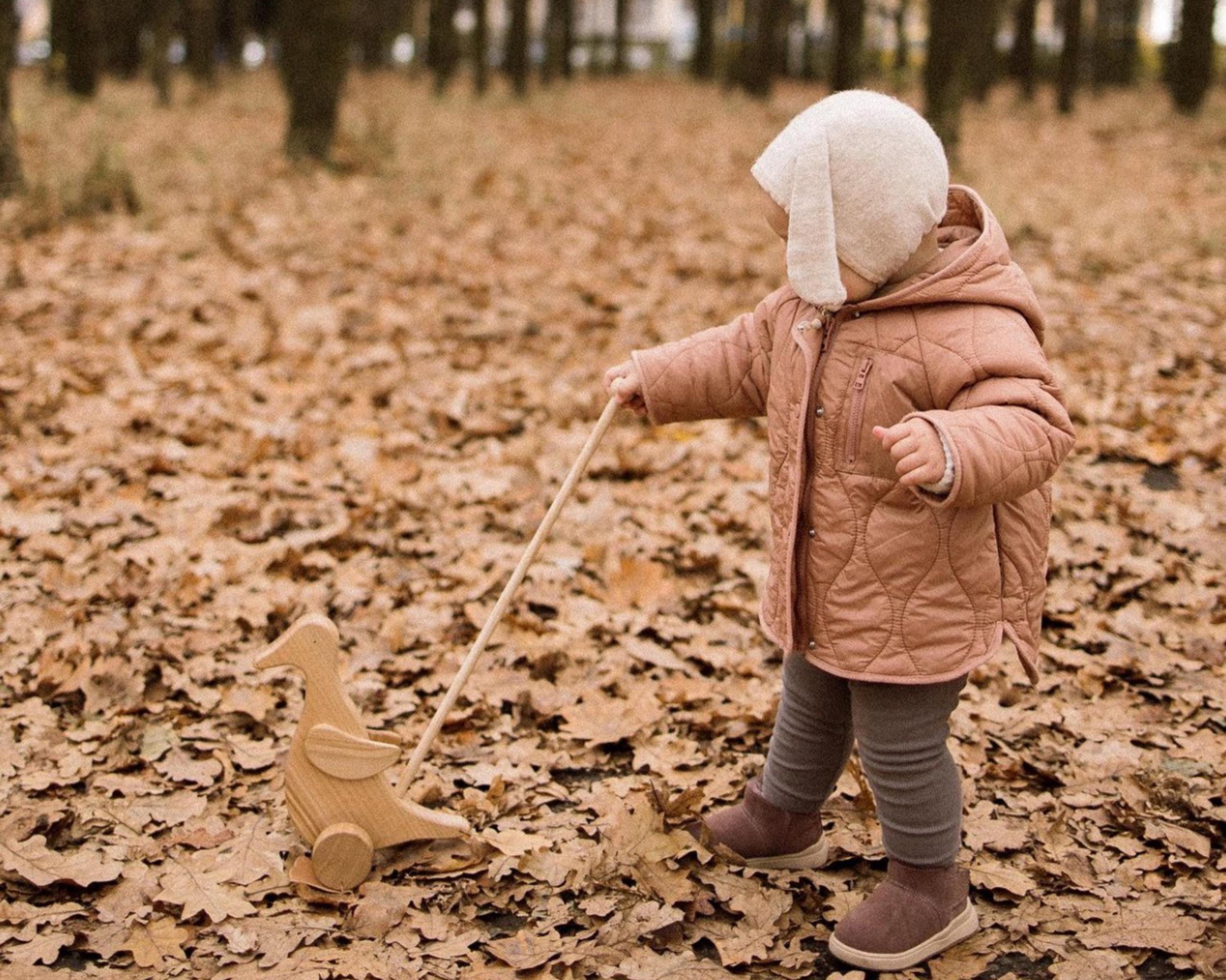 Wooden Duck Push Toy